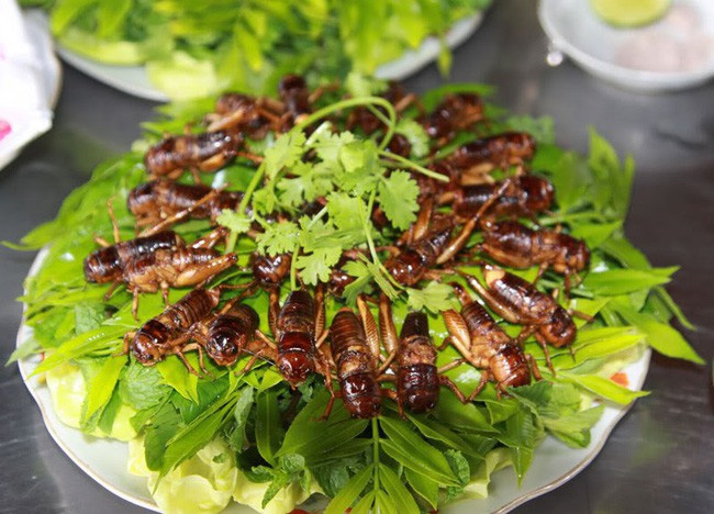 Dế cơm chiên nước mắm